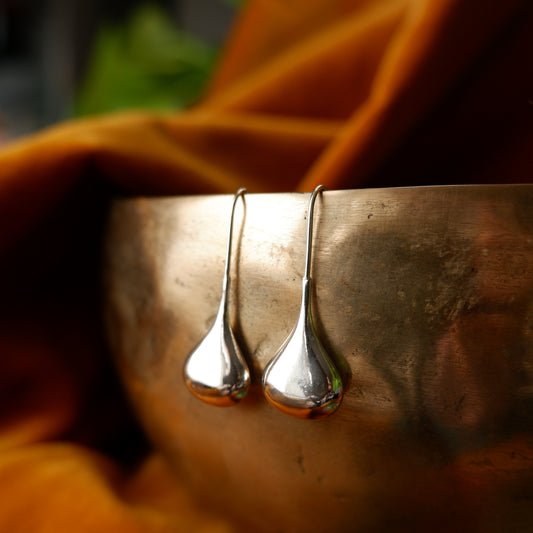 Paloma - Stunning Silver Drop Earrings